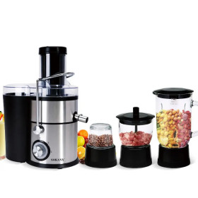 Blender Mixeur Presse Agrumes Multifonctions - Acier Inoxydable 1000W