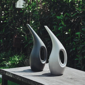 Arrosoir à long bec - Pour plantes et fleurs