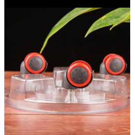 Support pour plantes en plastique transparent, avec roues mobiles, sur roulettes, plateau à roulettes