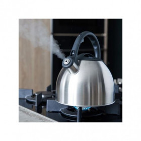 BOUILLOIRE THÉIÈRE SOUFFLEUR EN INOX - 2 LITRES
